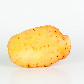 Potato Plush Toy 🥔