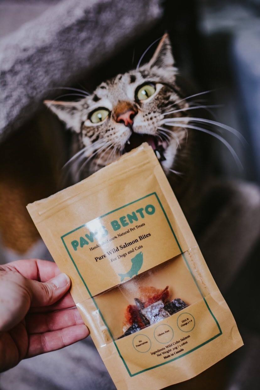 Pure Salmon Bites